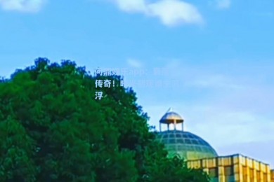问鼎娱乐app：衰落传奇！曙光初现谁主沉浮